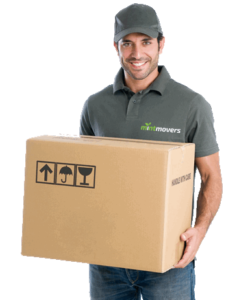 mover carrying boxes