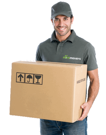 mover carrying boxes